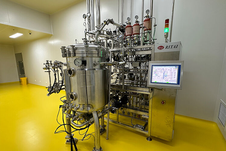 Oncolytic Adenovirus Production Using 15L & 150L Fixed-Bed Bioreactors