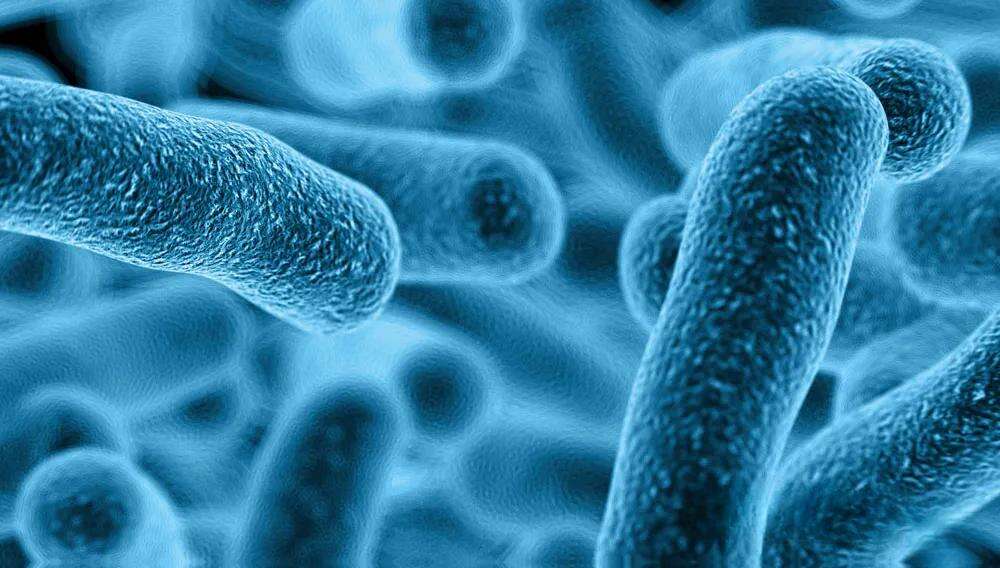Fermentation Technology - The Innovative Solution to Break the Deadlock of Peptide Drug Resistance (2)_cleanup_docsmall.com