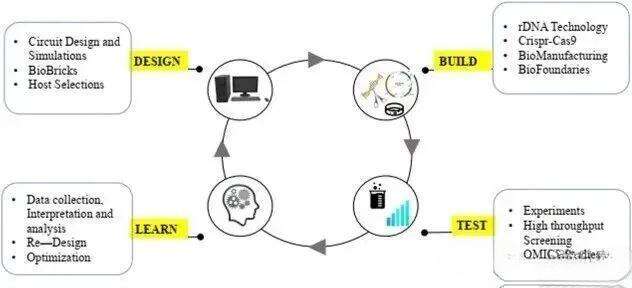 Synthetic Biology - Redefining a Sustainable Future for the Vaccine Industry (2)_cleanup_docsmall.com