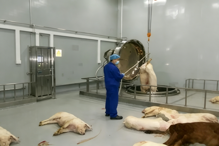 Alkaline Hydrolysis Equipment for Animal Carcass Disposal