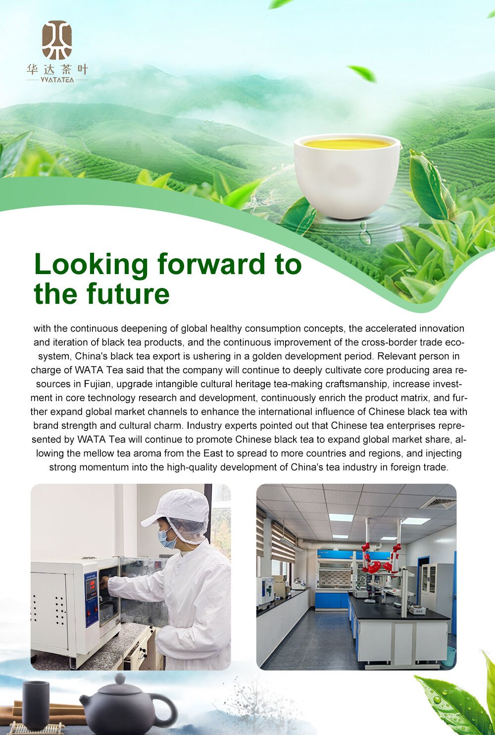 Looking For ward to  the Future