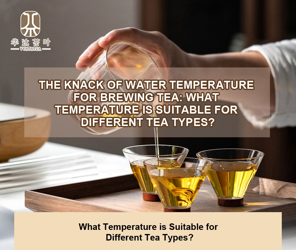 The Knack of Water Temperature for Brewing Tea: What Temperature is Suitable for Different Tea Types?