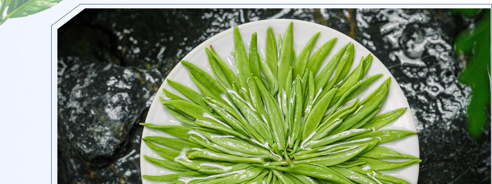 WATA Tea: A Legend of Oriental Tea Going Global​