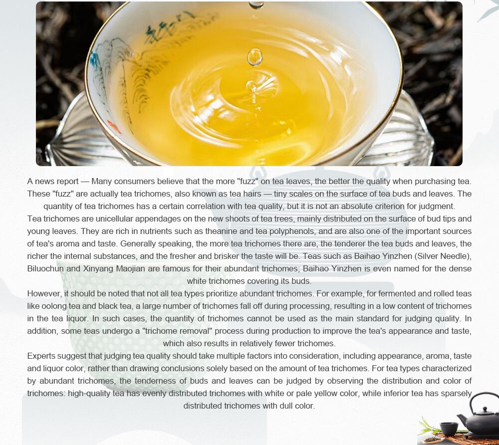 The More "Tea Hairs", the Better the Tea? Unveiling the Mystery of Tea Trichomes