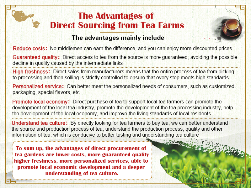 The Advantages of Direct Sourcing from Tea Farms
