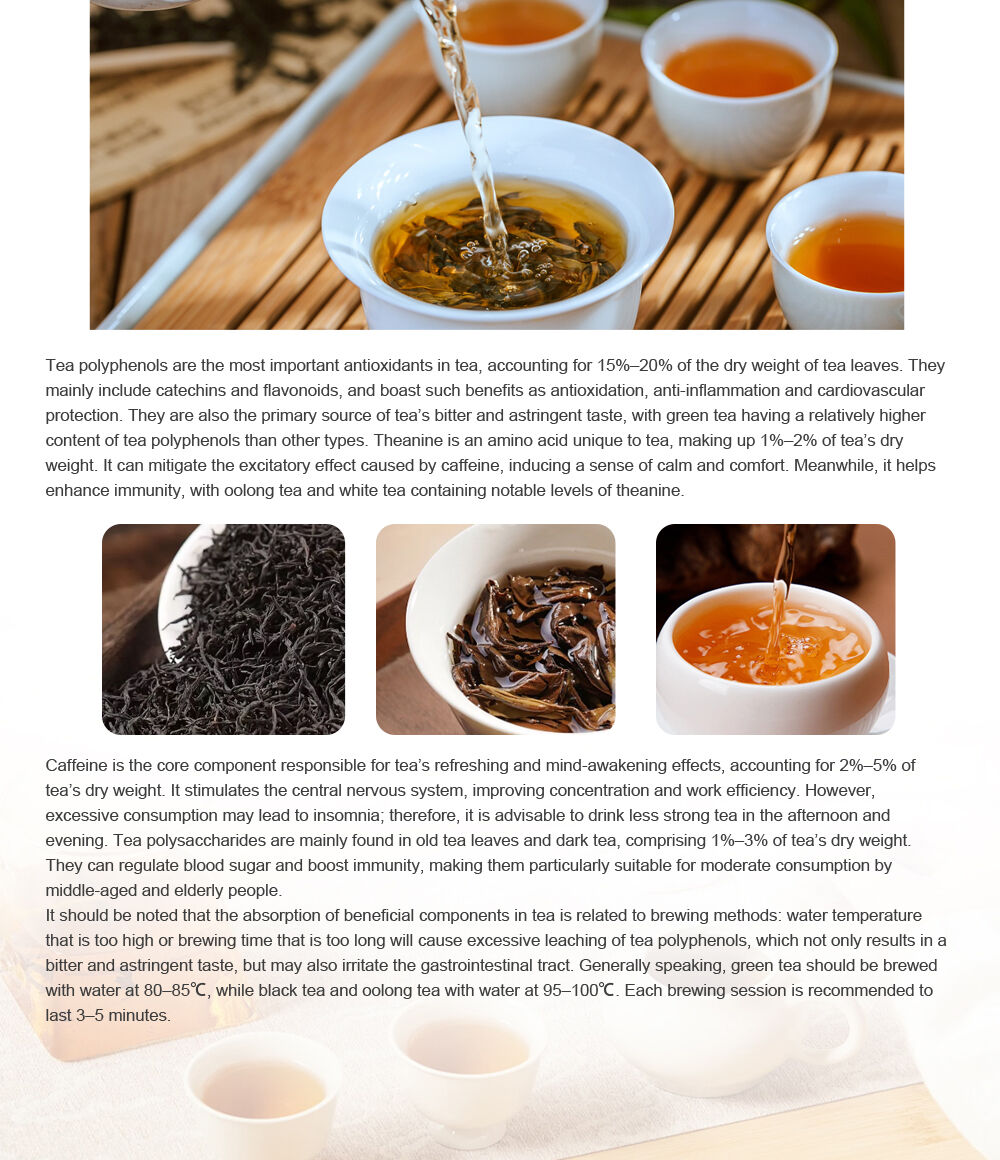 The "Nutritional Code" in Tea: How Much Do You Know About These Beneficial Components?