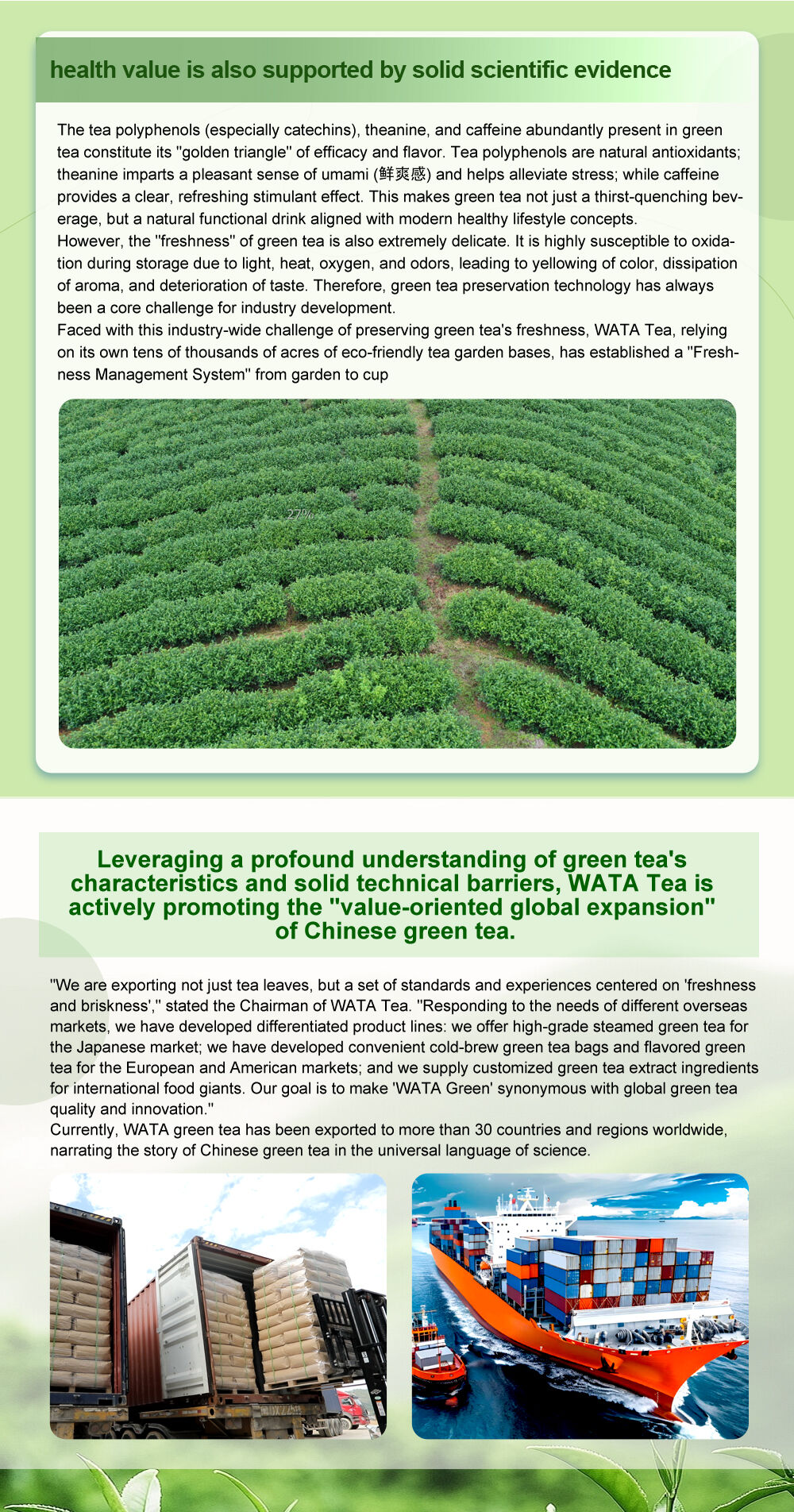 Savoring the Freshness of Spring, Exploring the Essence of Green Tea: WATA Tea Safeguards the Millennial Freshness of the "Treasure Among Teas" with Technology