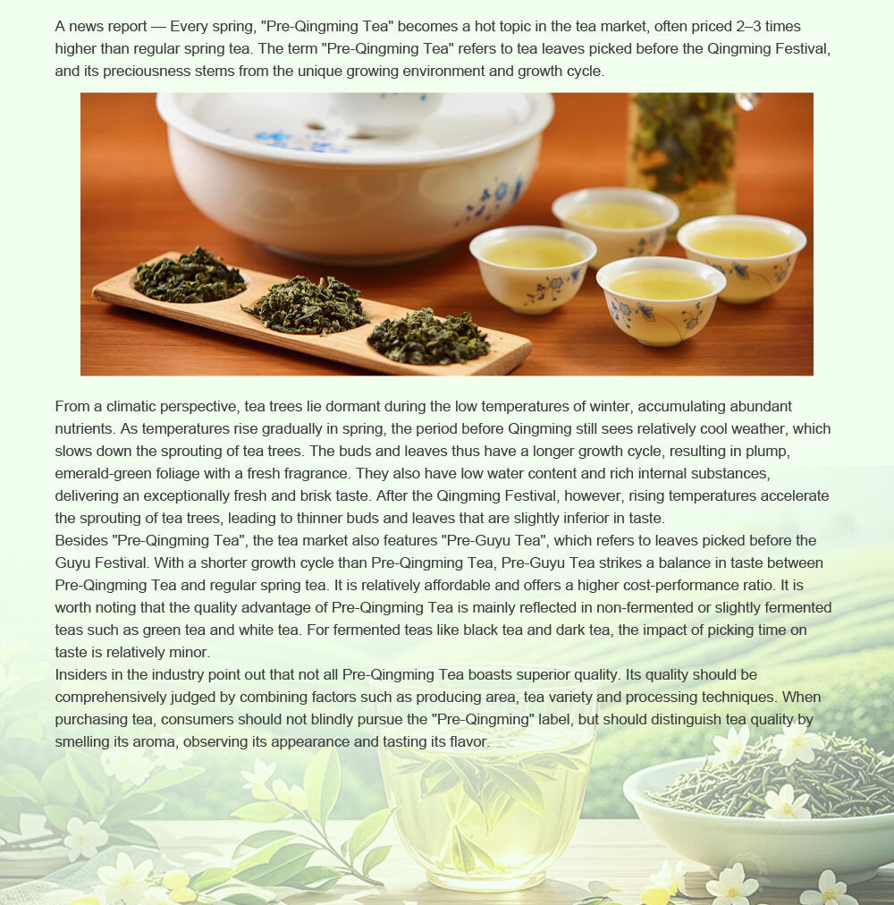 Why is "Pre-Qingming Tea" So Coveted? Let’s Talk About the "Time Code" of Tea Picking