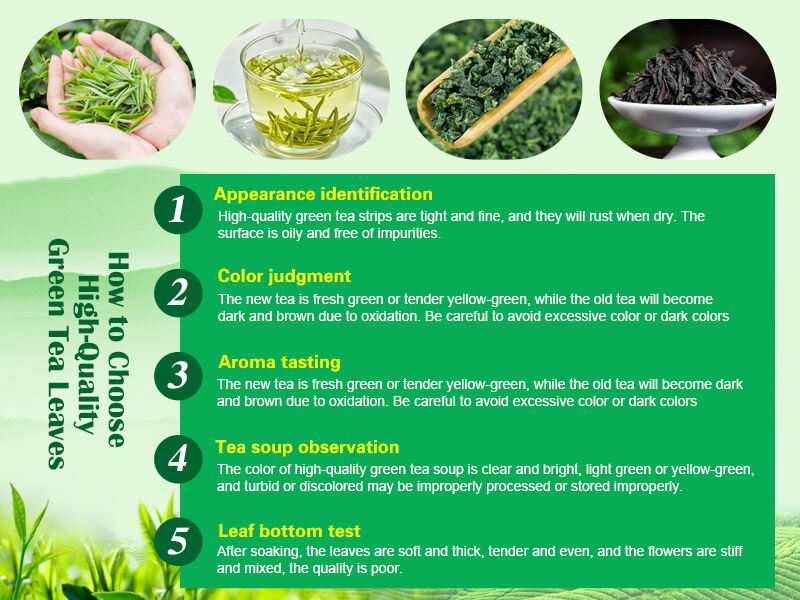 How to Choose High-Quality Green Tea Leaves
