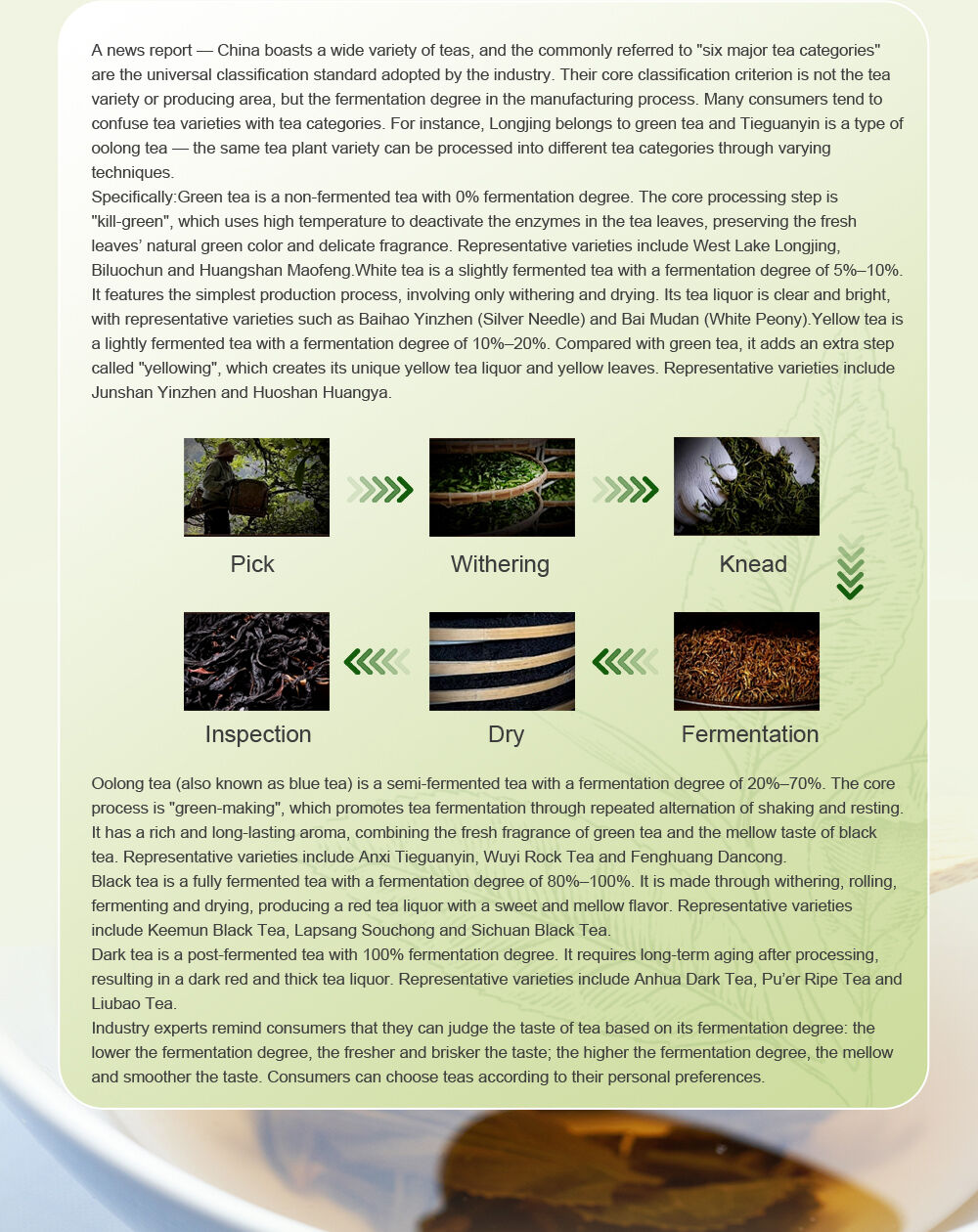 How to Classify the Six Major Tea Categories? Understand the Core Logic of Tea Classification at a Glance with This Table