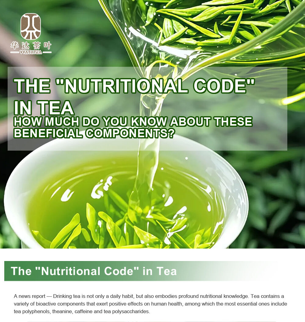 The "Nutritional Code" in Tea: How Much Do You Know About These Beneficial Components?