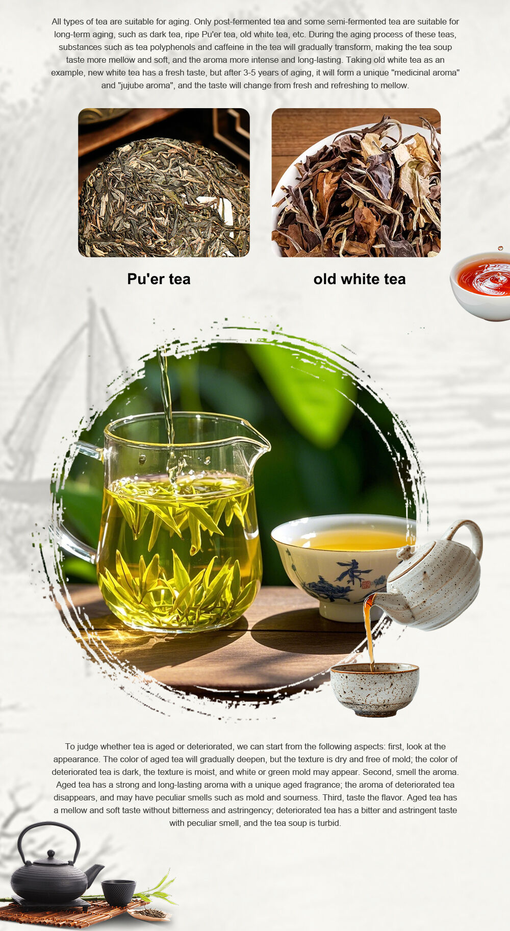 What's the Difference Between "Aging" and "Deterioration" of Tea? Don't Be Confused Anymore