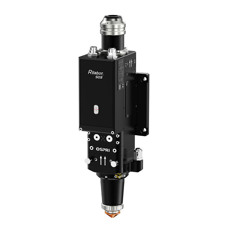 Versatility Across Applications