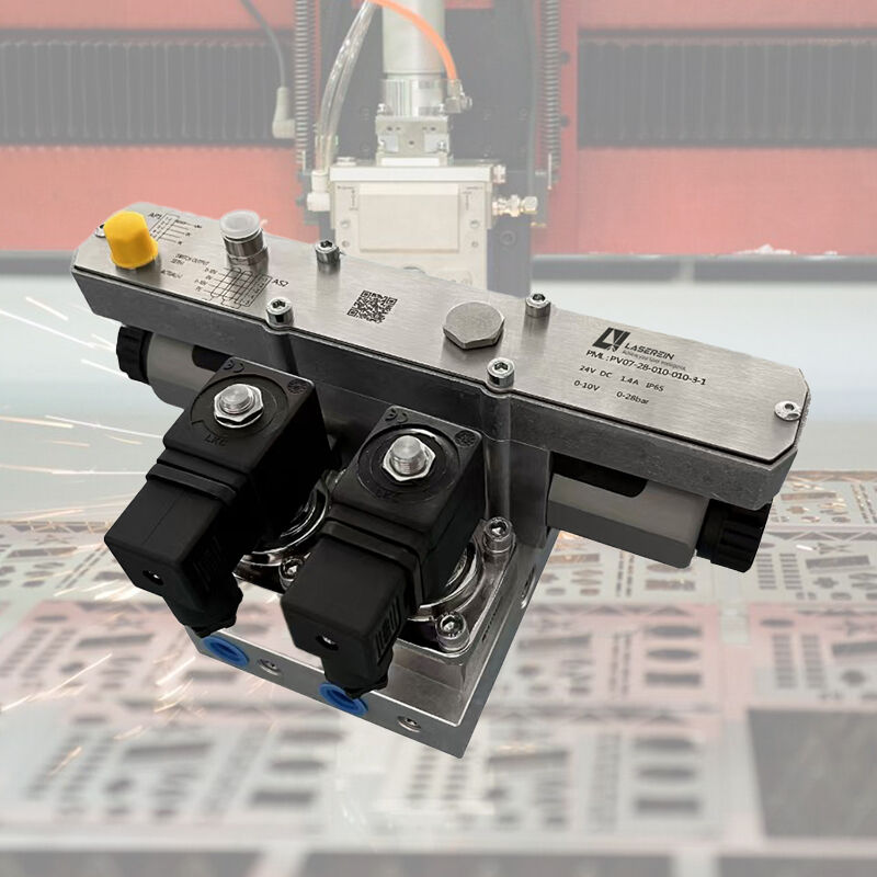 Comprehensive Support and Training Services