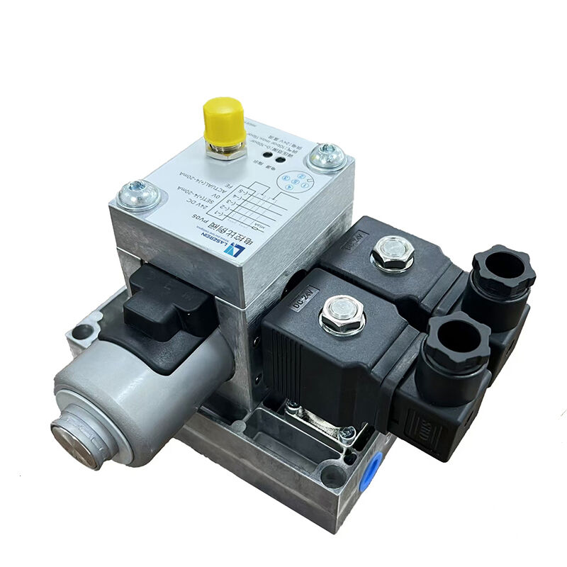 Comprehensive Support and Maintenance Services