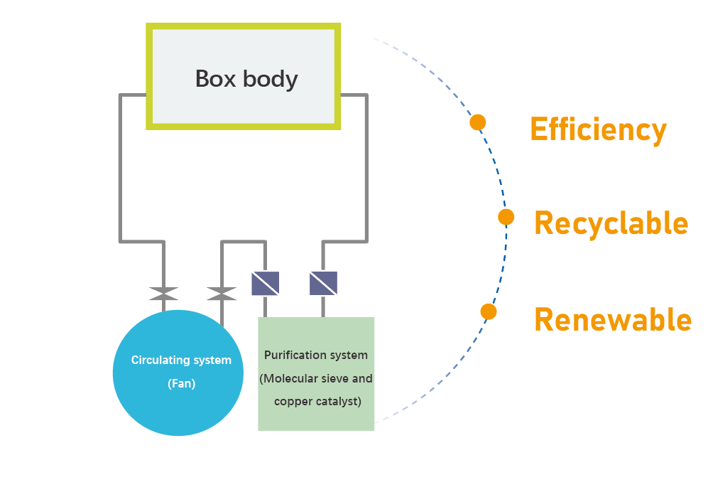  How Does the Glovebox Remove and Maintain Low H₂O and O₂ Levels?