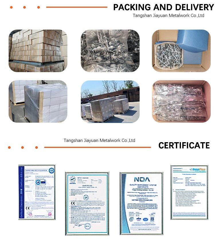 China Factory Electric Galvanized Roofing nail 2 2.5 3 3.5 Cap Nail Twisted Shank Smooth Shank Galvanized Umbrella Head Roofing Nail 1kgbag 25bags in carton(3).jpg