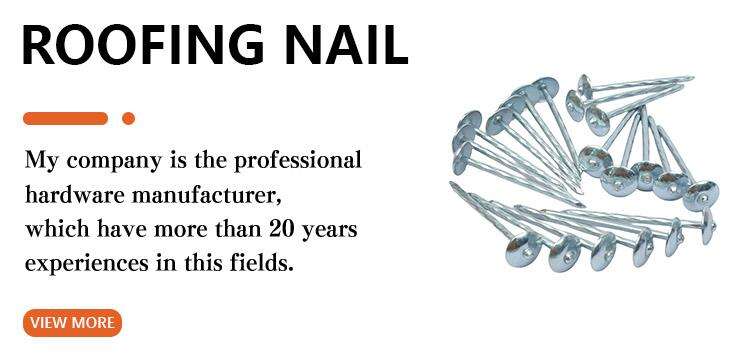 Factory Direct Sales Hot galvanized wire 2.5inch 3inch 3.5inch Roofing nail with Umbrella cap Twist Shank.jpg