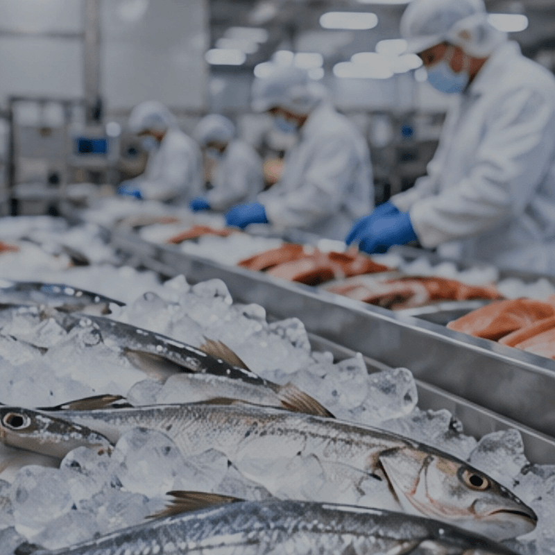 Application Fields of Industrial Ice Machines: Food Processing and Cold Chain Logistics