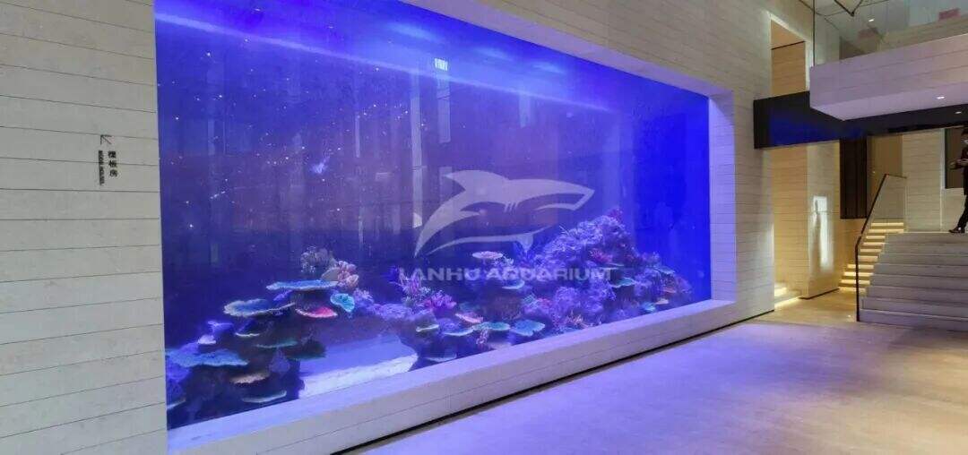 [Shanghai Lanhu Aquarium Engineering Project]Craftsmanship in Harmony — Completion of the Sunac Suzhou · Tanyue Aquarium
