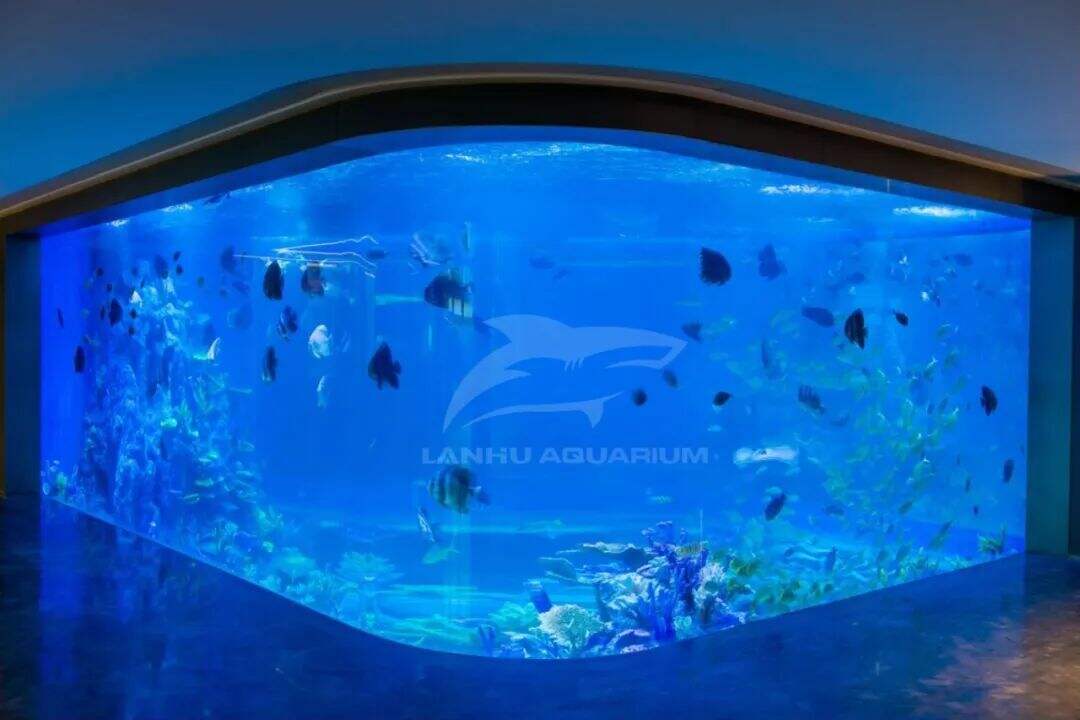 [Proyecto de Ingeniería de Acuario Shanghai Lanhu] Cumpliendo y superando expectativas, el acuario de acrílico en Cuihu Xiangshan International Garden en Zhuhai ha sido completado.