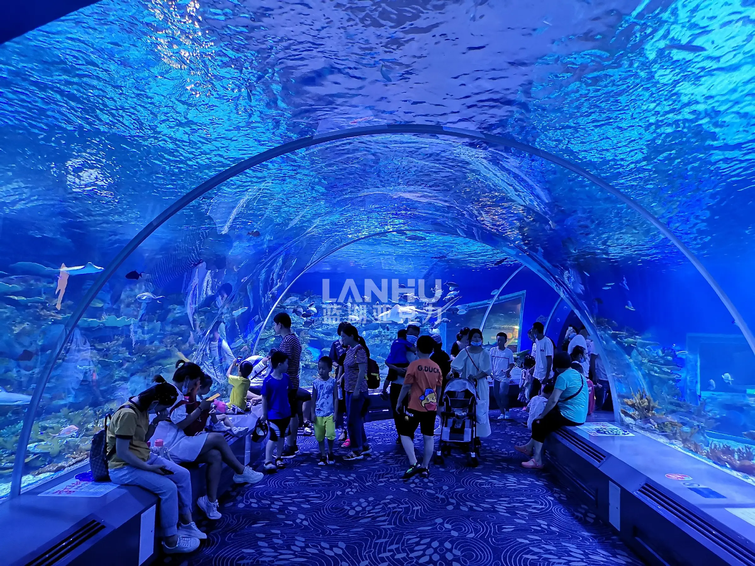 Custom Process for Large Acrylic Aquariums: From Design to Completion