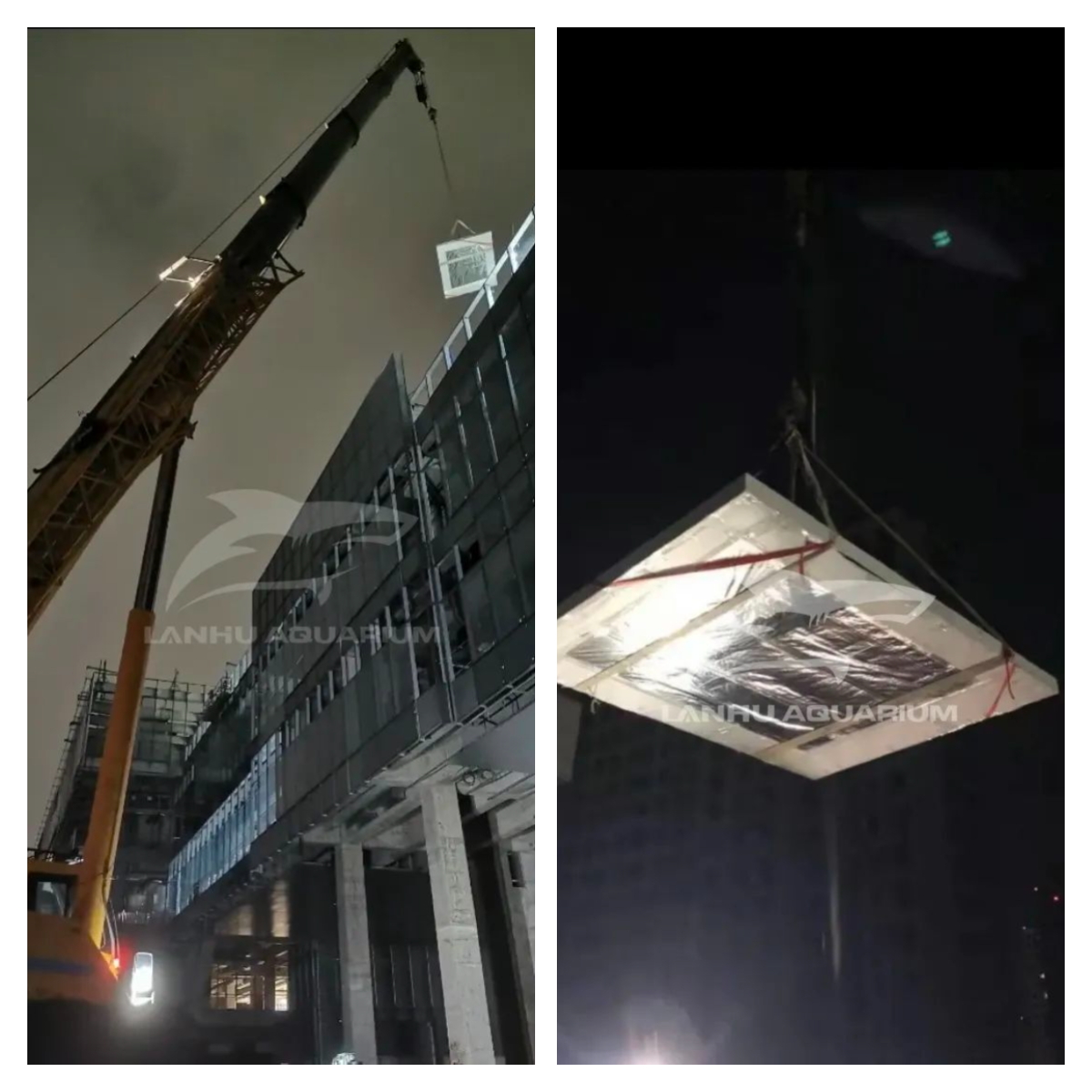 迅捷图片转换器-202585-1754373259586.png