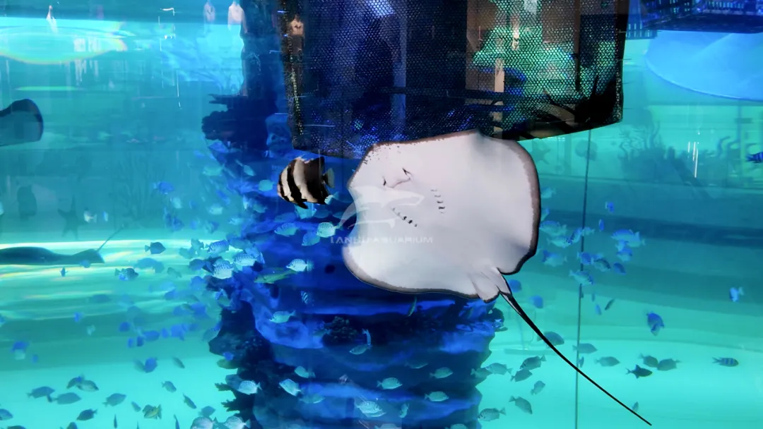 640 (3)(e4ce0576e1).webp