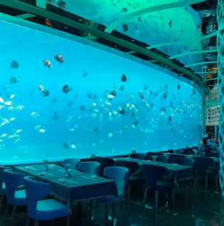 Why Underwater Restaurant Projects Are the Future of Dining Experiences