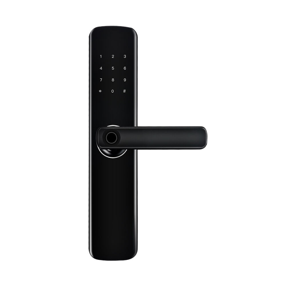 BL860 IoT Smart Lock Series