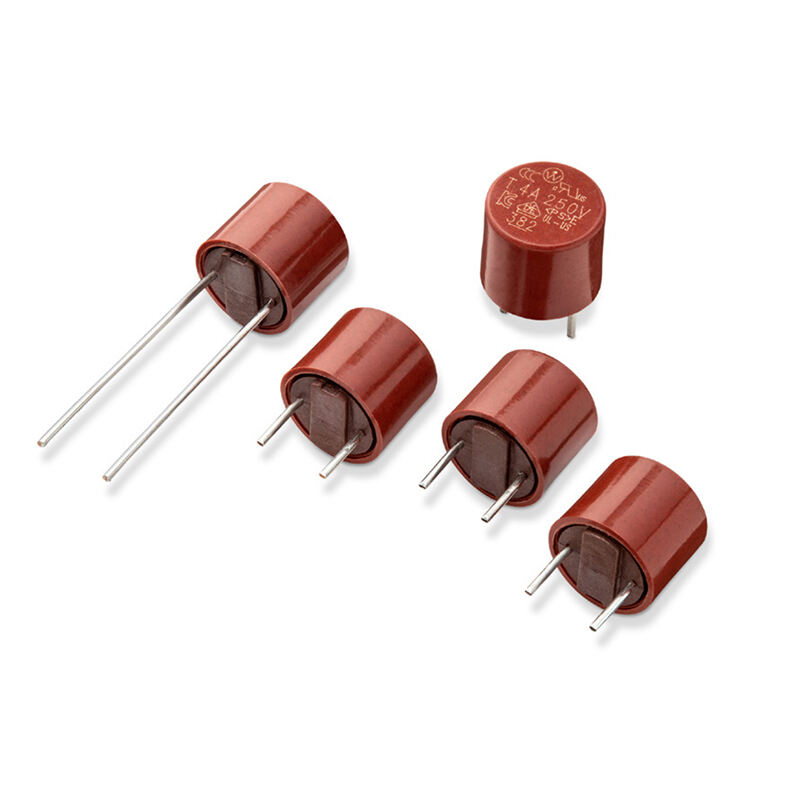 382 Series 250V Time Lag Littelfuse Subminiature Fuses