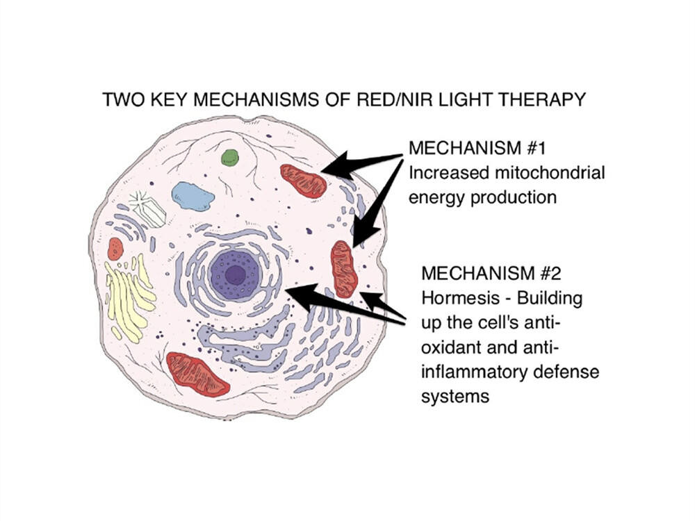 How Does Near-Infrared (NIR) and Red-Light Therapy Work?