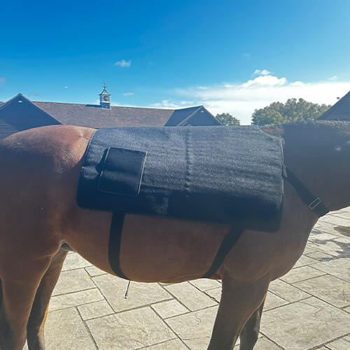 Red Light Therapy Back Wrap for Horse Body Care