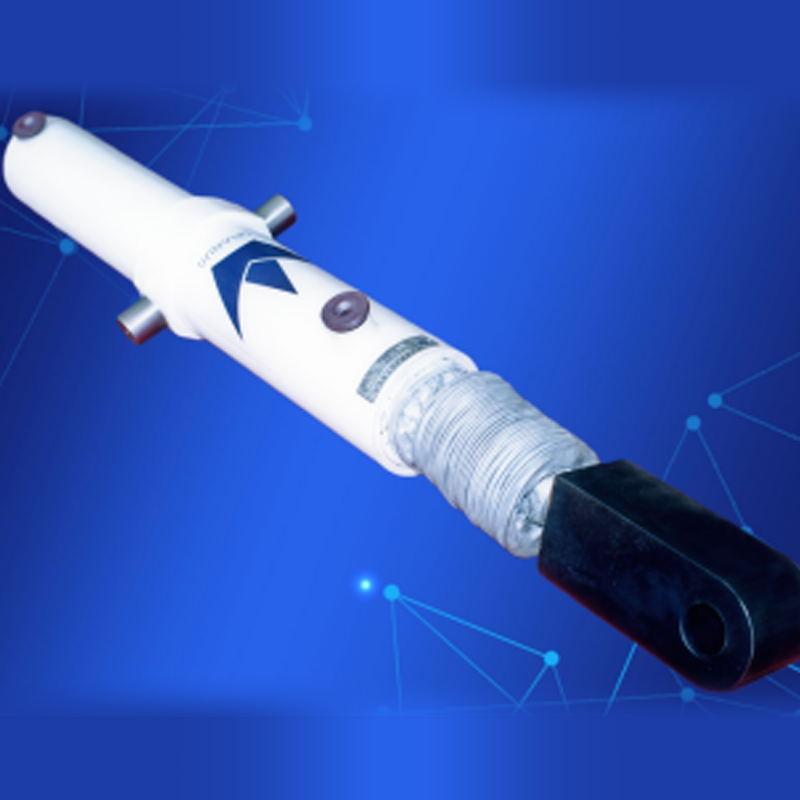 Construction Machinery Hydraulic Cylinder