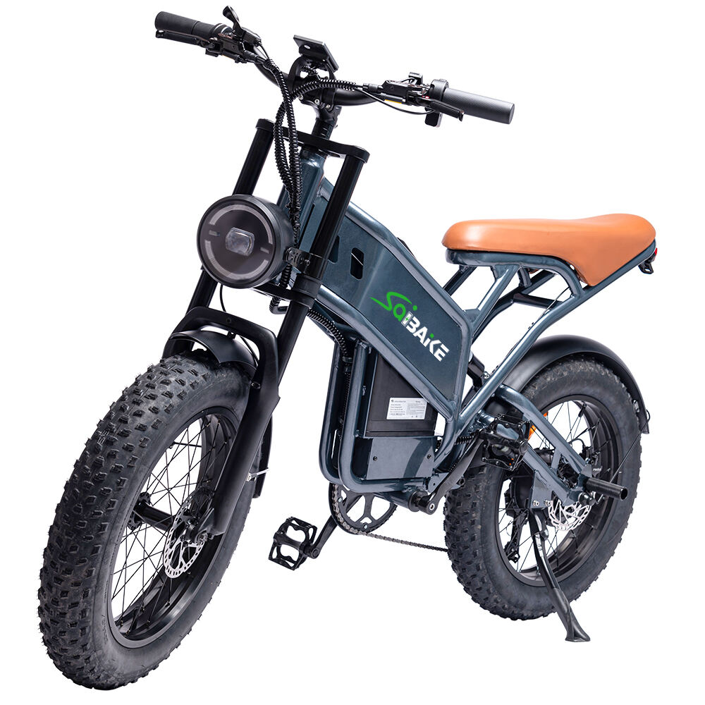 G9 Mountain Electric Bicycle Fat Tire Ebike Fast Electric Bikes Hydraulic Electric Bike Steel Adults 250W 500W 750W 1000W 48V