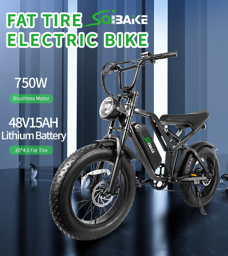 FXH009 Hydraulic Brake Electric Motorcycle Dual Shock Absorber Off-road E-bike Electric Bikes Mountain Bicycle EMTB details