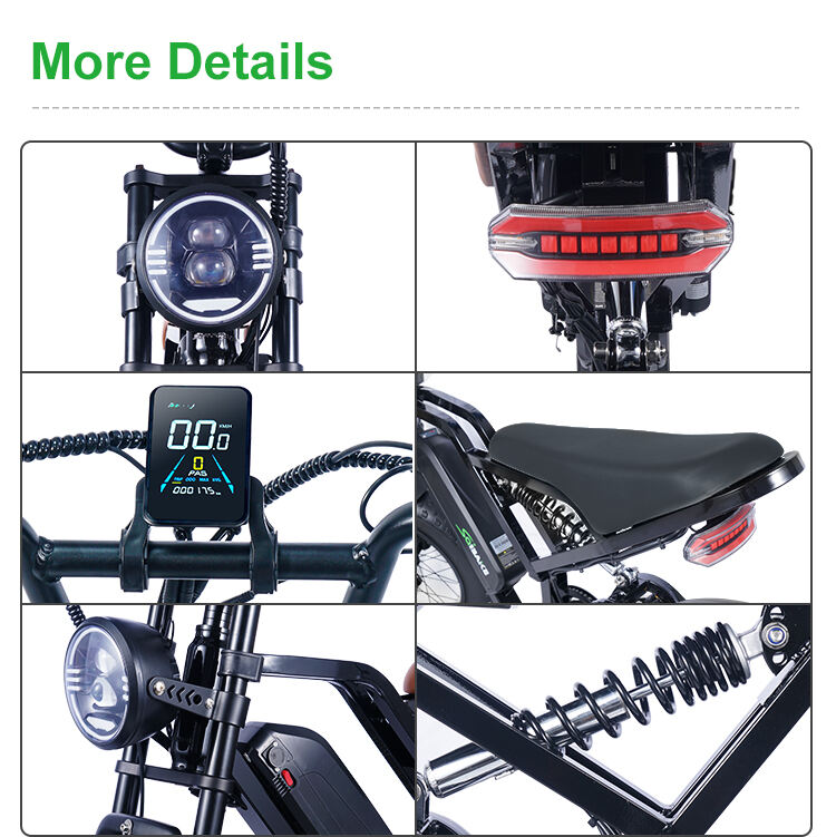 FXH009 Hydraulic Brake Electric Motorcycle Dual Shock Absorber Off-road E-bike Electric Bikes Mountain Bicycle EMTB supplier