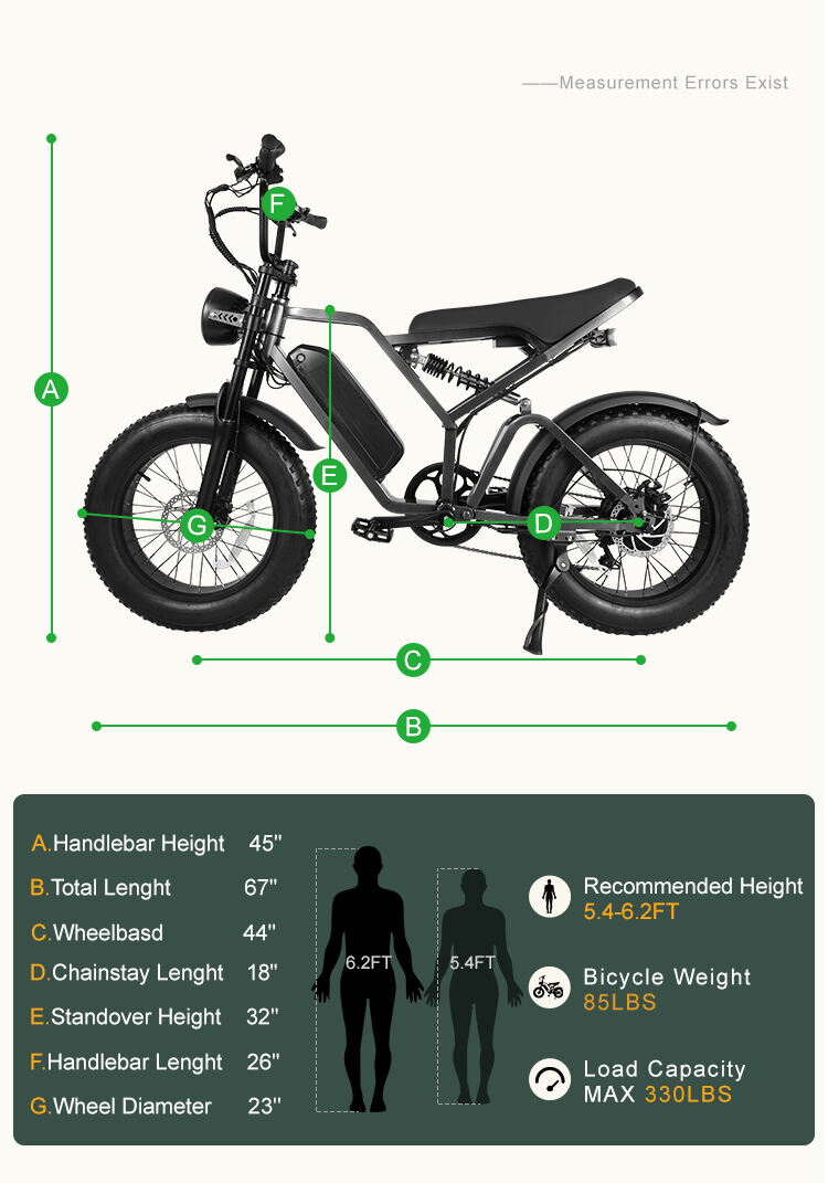 FXH009 Hydraulic Brake Electric Motorcycle Dual Shock Absorber Off-road E-bike Electric Bikes Mountain Bicycle EMTB manufacture