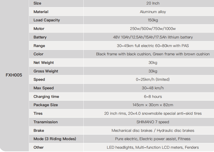 FXH005 New Upgrade Strong Power velo electrique Fat Tire Electric Bike Road Mountain Electric Bicycle Fatbike Ebike factory