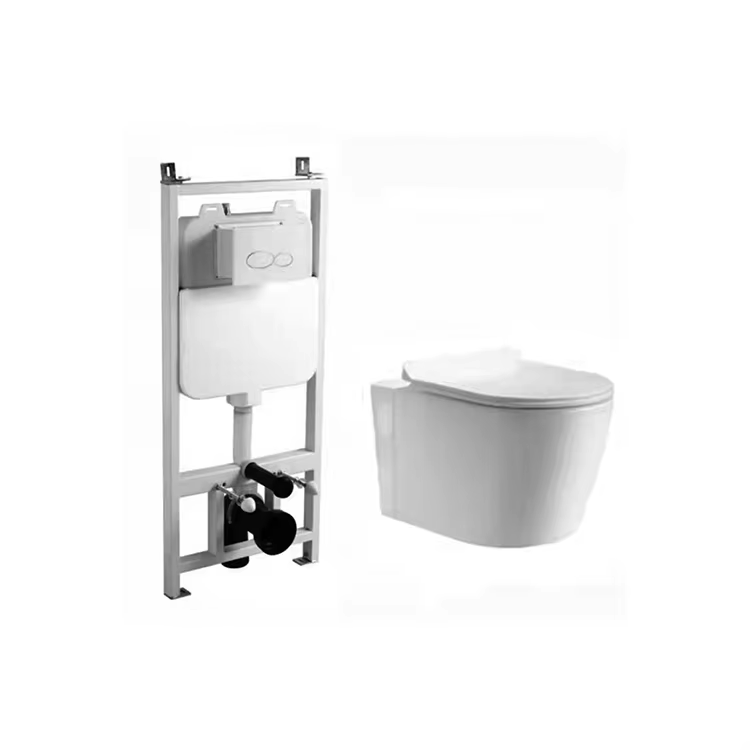 Comparing Traditional vs. Wall Toilets: Which is Right for Your Home?