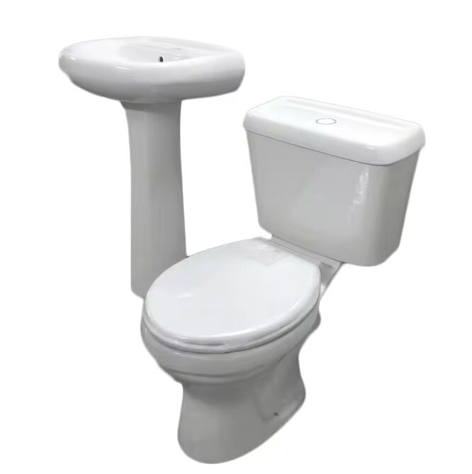 The Advantages of Choosing a Two Piece Toilet