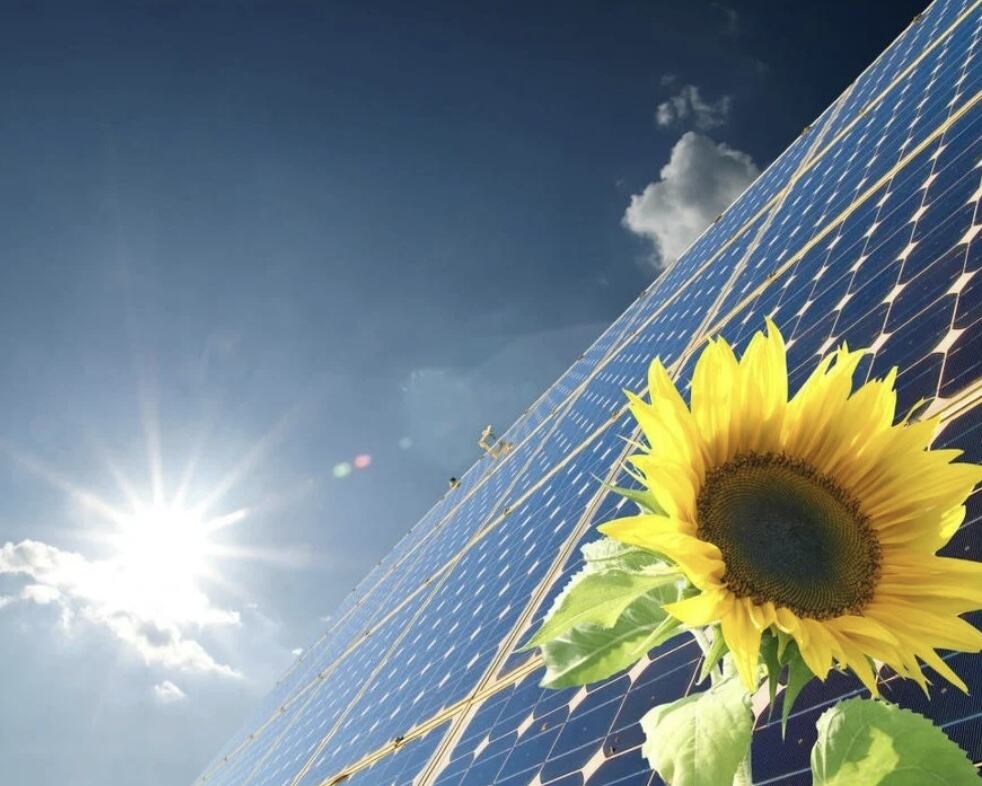 Solar Energy System or Geothermal Energy – Select one to be the Right Solution between the Two
