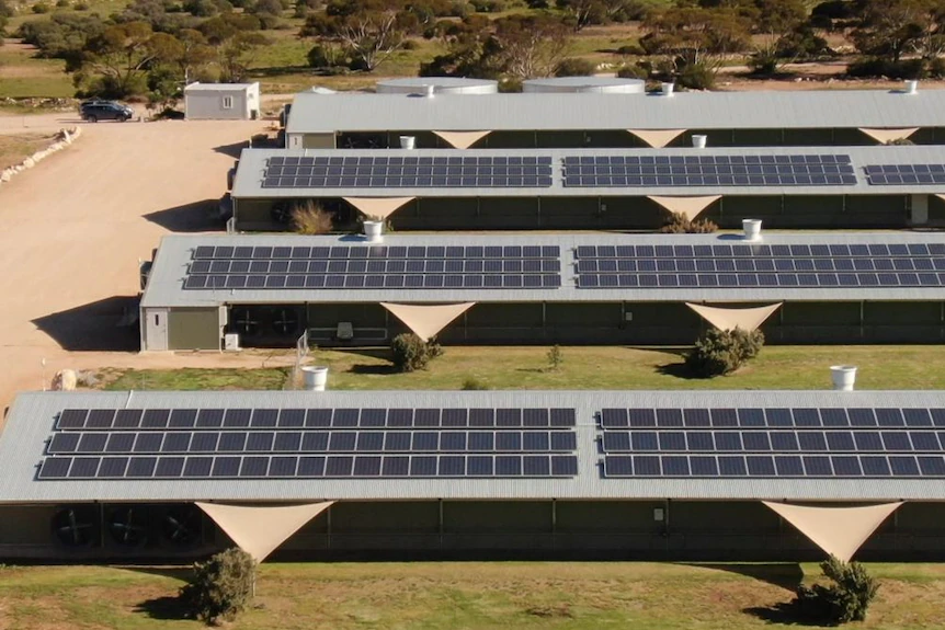  Solar Mounting System Durability Revealed