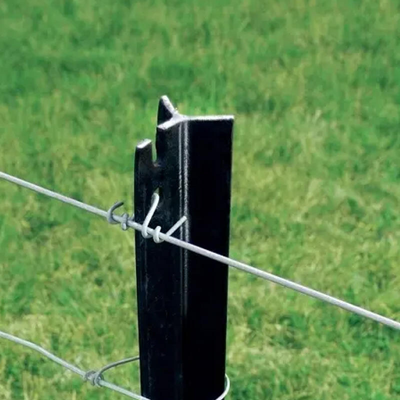 Y Posts in Bulk – Reliable and Durable Fencing Solutions