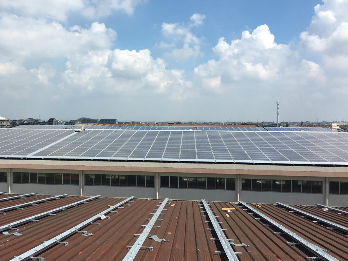 Exploring the Leading Solar Panel Companies