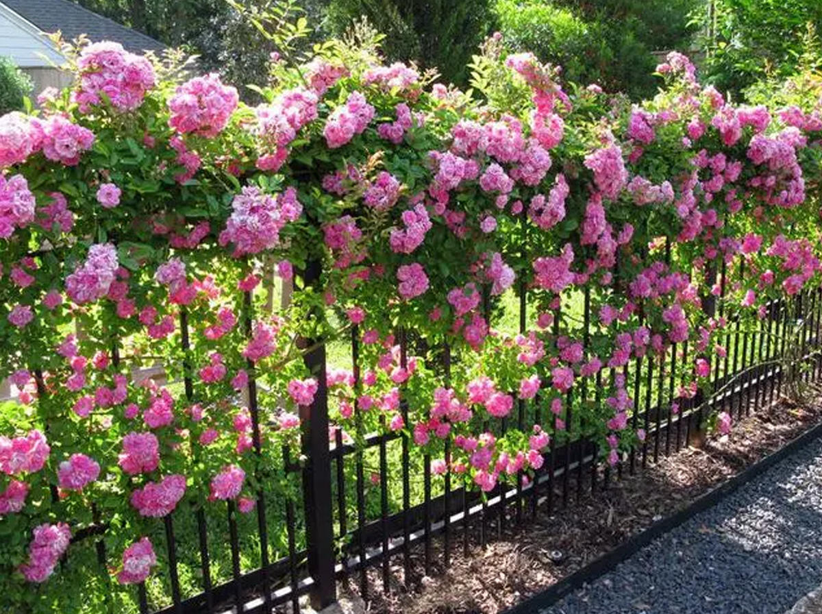 The security of steel fence posts