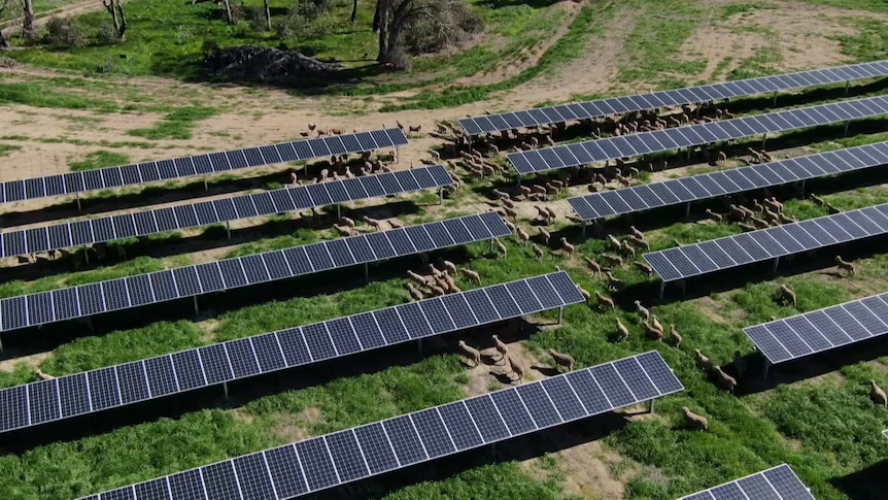 Advanced Solar Mounting System for Solar Farms