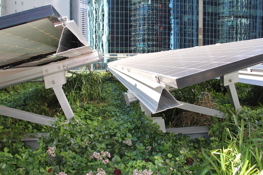 Australian clients would have received: Solutions to Different Types of Roofs