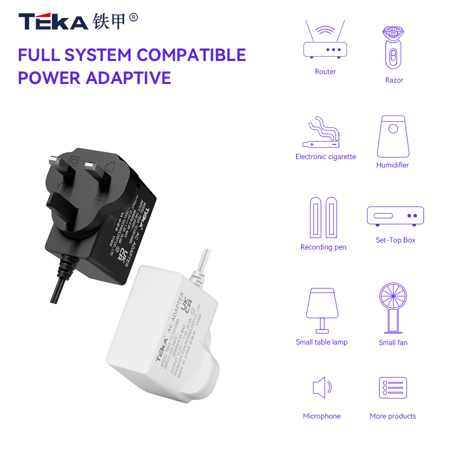 TC-BS Side plug Wall mount 19w power adapter