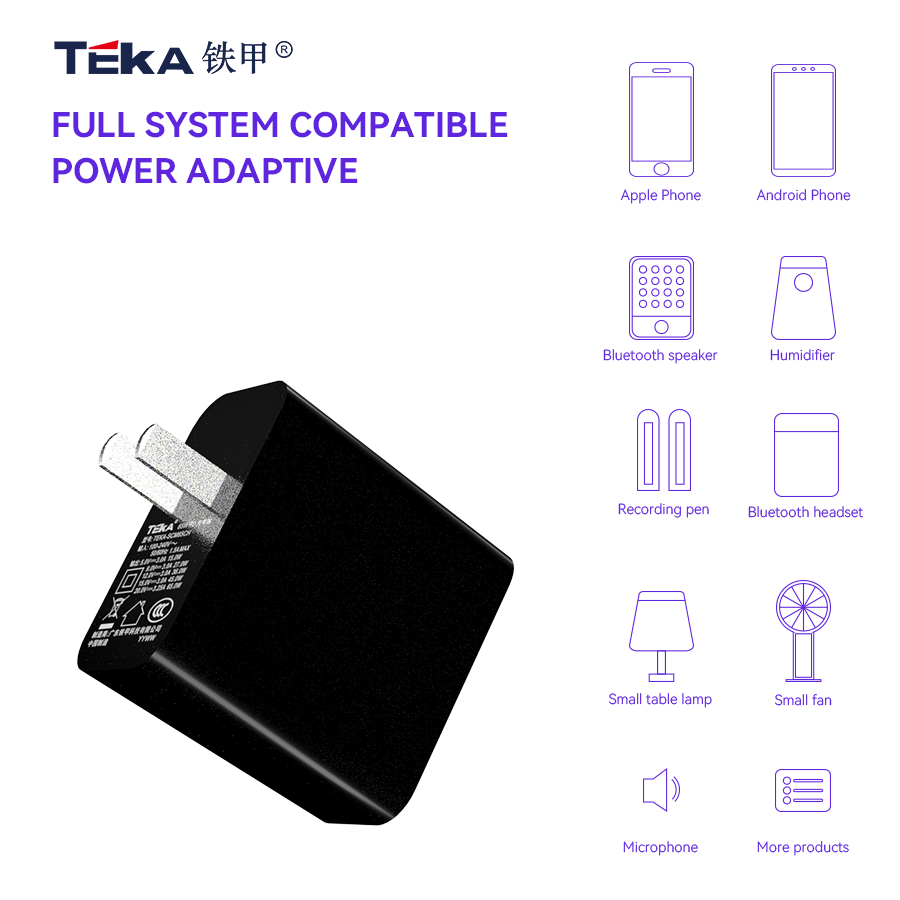 65W PD 65W PD Single C- CH Diversified Fast Charger